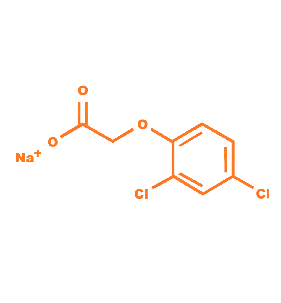 salt(1)